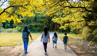 一家人漫步在林荫小道