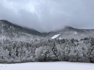 冬日雪景中的山林景观