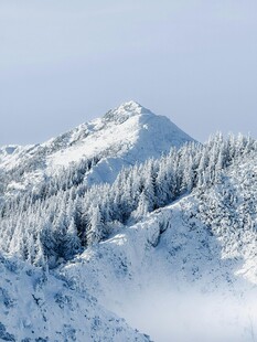 雪覆山林的壮丽山峰