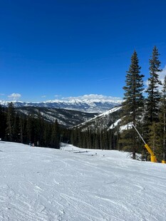 雪坡山林间的冬日美景