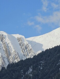 雪山巍峨与山林相映