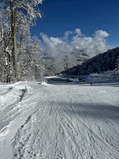 冬日雪景中的开阔雪路