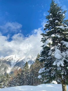雪覆青松与远山美景
