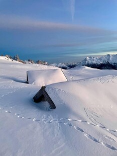 雪覆大地的静谧冬日景象