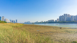 河畔草地与远处城市景观