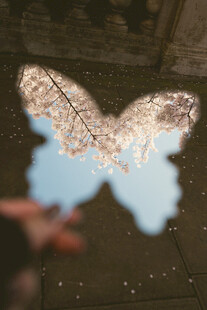 手映蝴蝶光影奇幻画面
