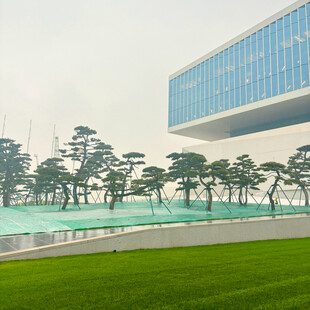 现代建筑旁的绿地与树木