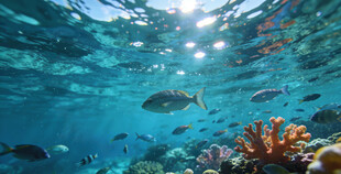 海底斑斓世界中的游动鱼类