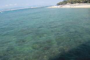 三亚清澈海边美景