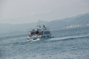 海上航行的船只