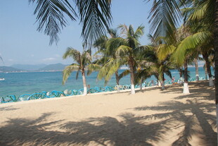 热带海滩风光 椰树与碧海