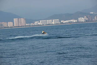海上摩托艇驰骋于城市近海