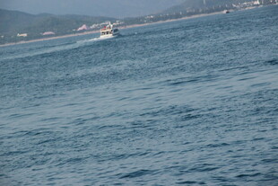 海上行驶的船只