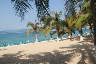 热带沙滩椰林海景风光