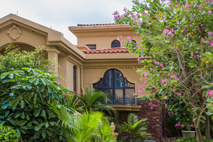 豪华别墅周边绿植环绕