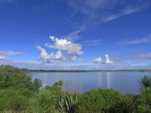 海滨蓝天绿树美景如画
