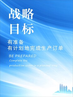 战略目标