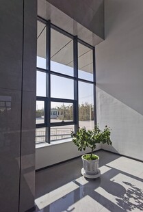 现代室内明亮窗边绿植景致