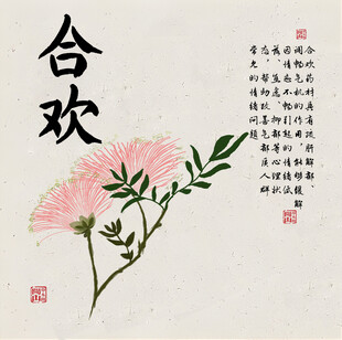 手绘合欢花插画