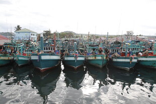 停泊在水面的多艘渔船