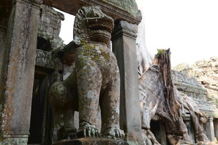 古老石兽守护神秘遗迹