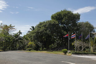 道路旁的多彩旗帜与绿树