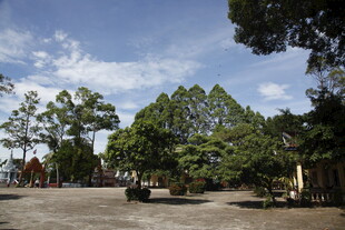 户外绿树环绕的空旷场地