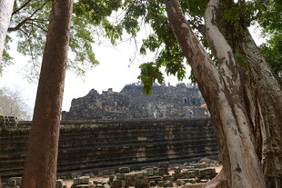 古老寺庙隐于繁茂树木间
