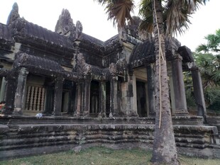 古老吴哥窟旁的高大棕榈树