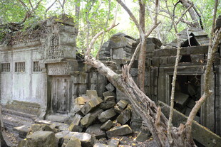 古老废墟被树木环绕