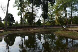 乡村静谧池塘与葱郁树林