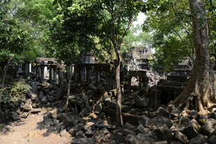 丛林中的古老寺庙遗迹