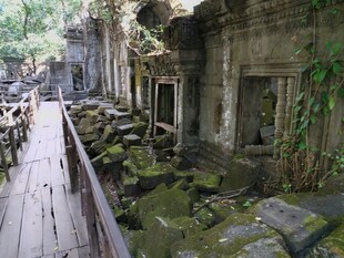 古老废墟中的神秘木质步道