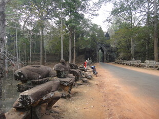 路边堆放的大量砍伐树木