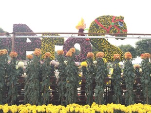 军人风采 花坛前整齐列队