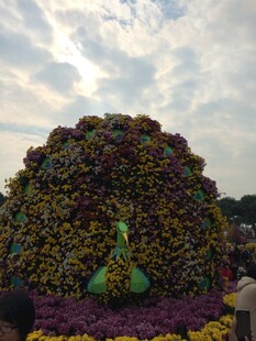 巨型花卉景观造型