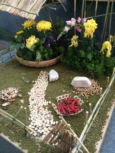 精致盆栽与多样园艺装饰