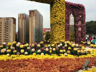 城市花坛景观 繁花似锦