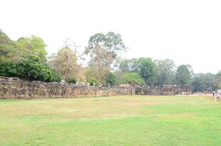 户外草地与远处树木景观