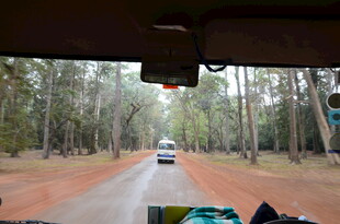 林间红土路驾车行驶景象