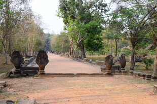 古老石道旁的神秘石像