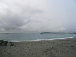 海边阴天的静谧沙滩景色