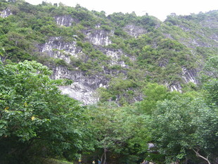 山林间的峭壁绿意景观