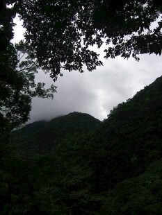 山林间的云雾缭绕景象