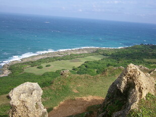 俯瞰海岸与绿野美景