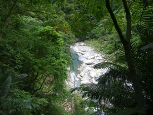 山林间的潺潺溪流