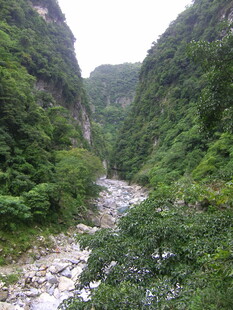 山间峡谷溪流绿意盎然