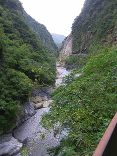 山间溪流穿林而过