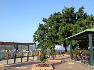 户外休闲处的绿树与设施