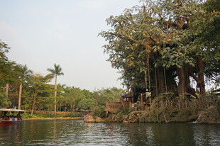 河畔绿树环绕的静谧风光